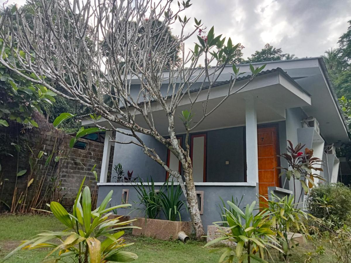 Tangkoko Ranger Homestay Bitung Extérieur photo