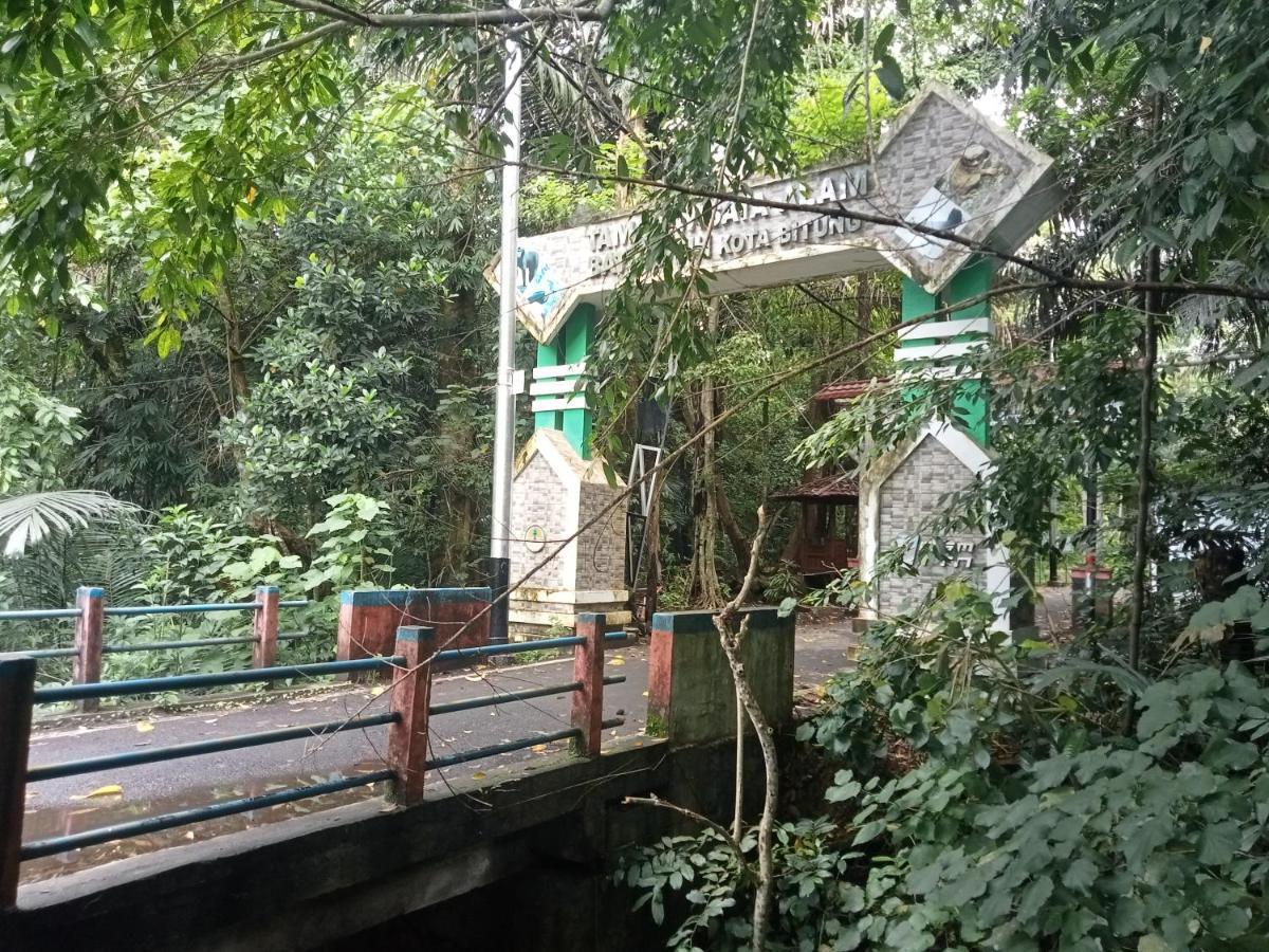 Tangkoko Ranger Homestay Bitung Extérieur photo