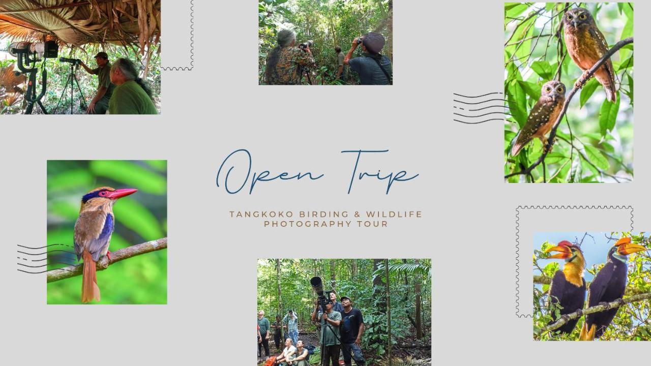 Tangkoko Ranger Homestay Bitung Extérieur photo