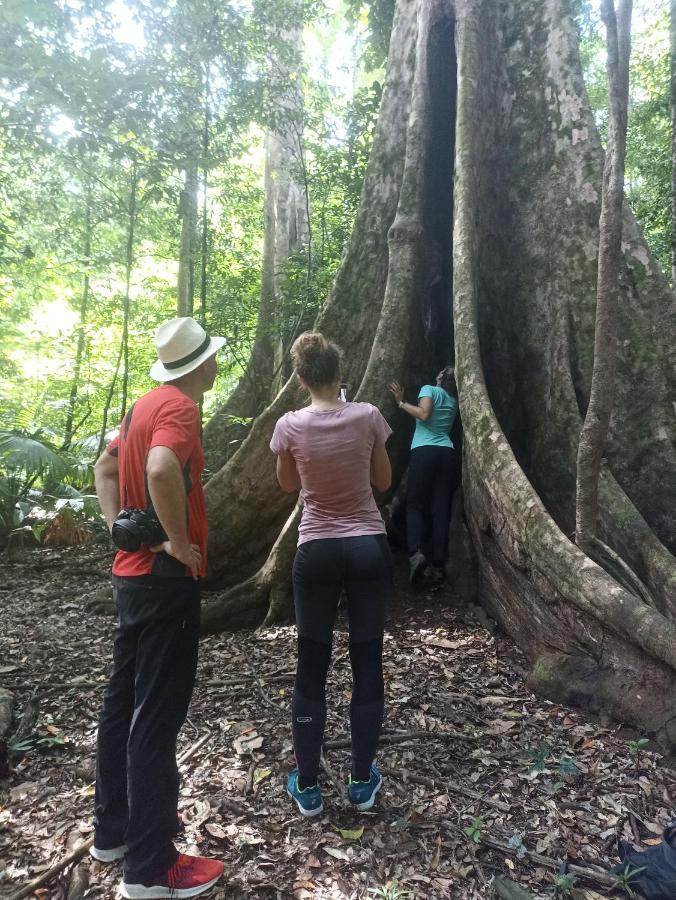 Tangkoko Ranger Homestay Bitung Extérieur photo